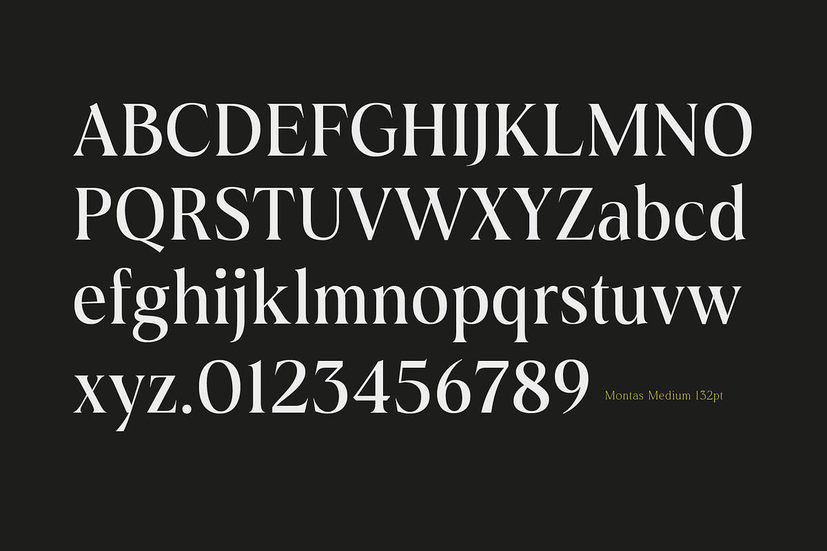 Montas - 7 Fonts, a Serif Font by Nasir Udin (Photo 15 of 16)