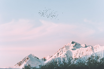 Snowy mountains and birds flying, a Nature Photo by e v e r s t