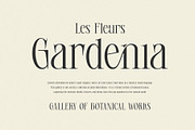 Gelinsia Elegant Stylish Serif Font, a Serif Font by RantautypeStudio (Thumbnail 10 of 19)