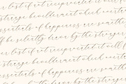 Waltney Flores A Beauty Calligraphy, a Script Font by Storytype Studio (Thumbnail 9 of 15)