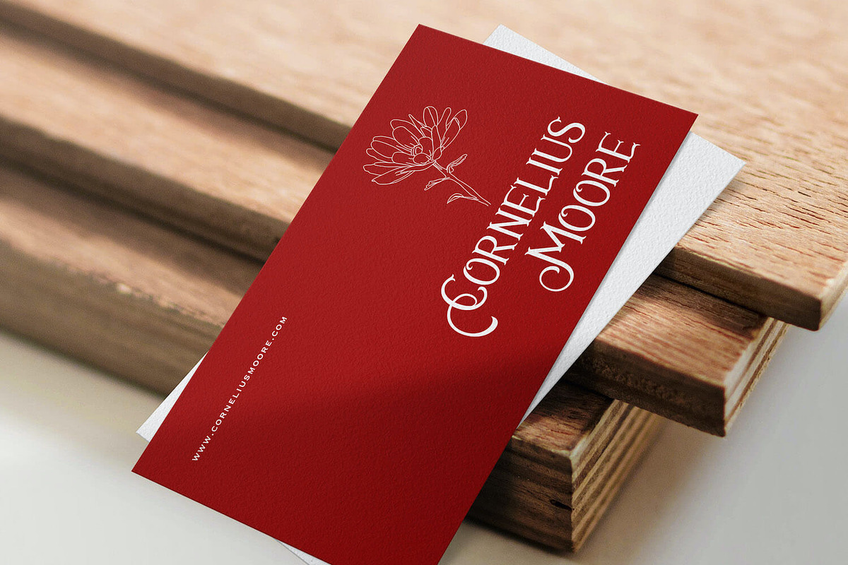 Avins Bake - Decorative Serif Font, a Serif Font by StringLabs (Photo 2 of 9)