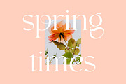 Calisba - Luxurious Ligature Display, a Serif Font by Luna Shop (Thumbnail 7 of 9)