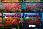 25 Chungking Lightroom Presets LUTs, a Preset Add-On by SparkleStock (Thumbnail 8 of 14)