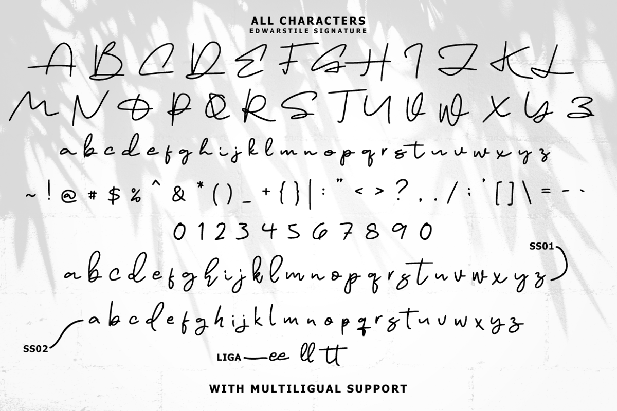 Edwarstile - Monoline Signature, a Script Font by tebaltipislab (Photo 11 of 11)