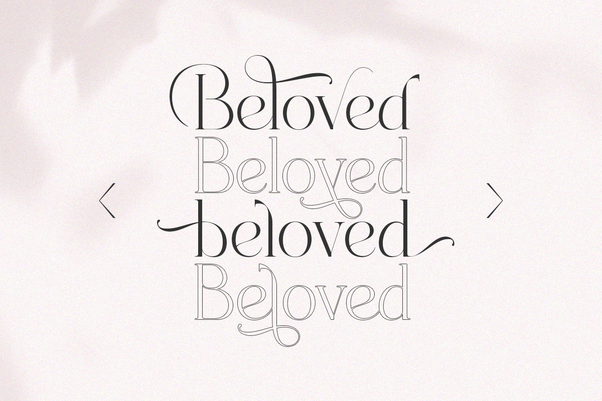 Dealoras Font Duo, a Serif Font by Attract Studio (Photo 17 of 17)