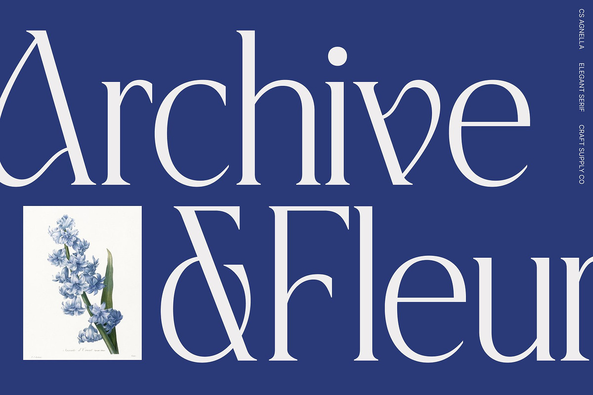 CS Agnella – Elegant Serif Font, a Serif Font by Craft Supply Co. (Photo 7 of 8)