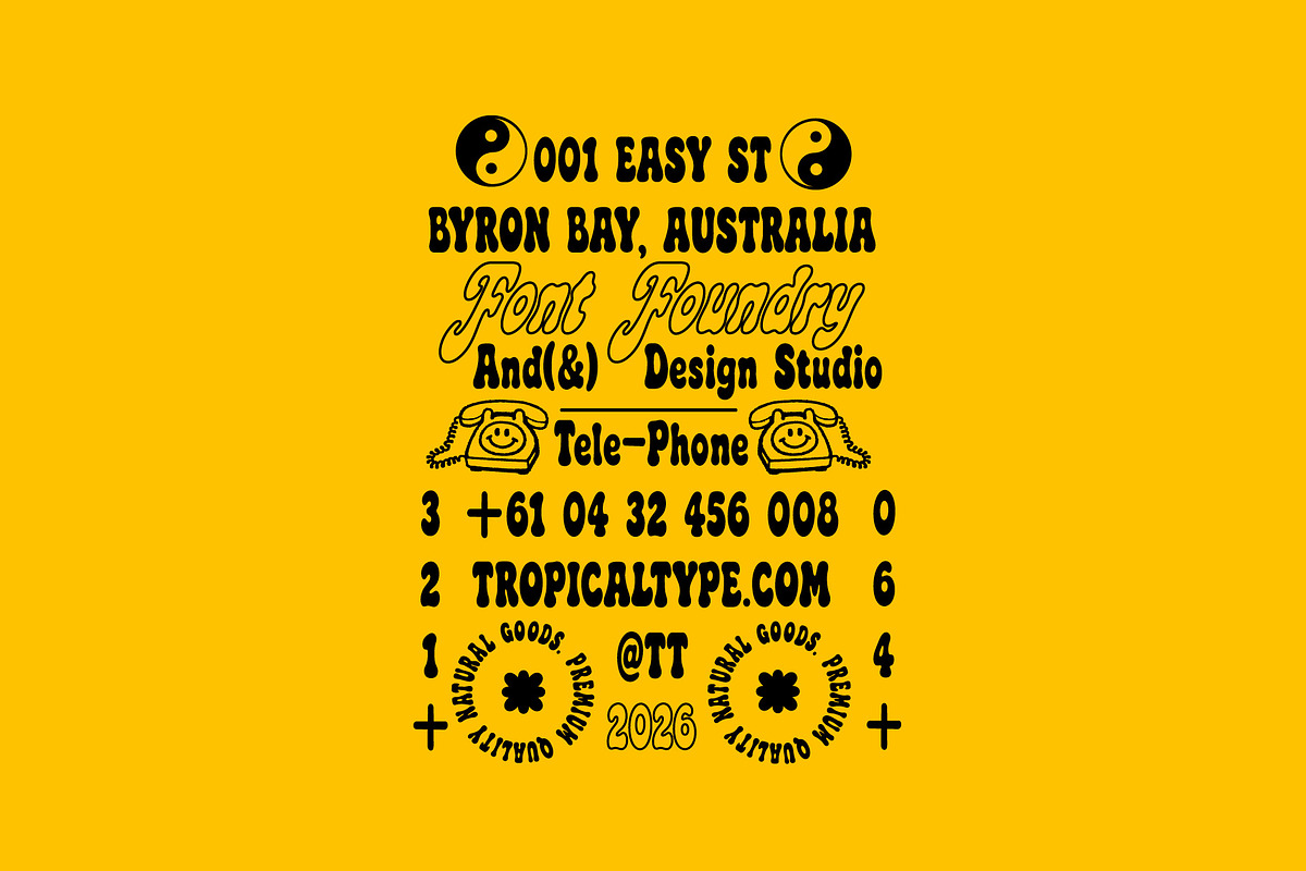 HOLIDAZE DISPLAY RETRO FONT, a Serif Font by Tropical Type (Photo 3 of 11)