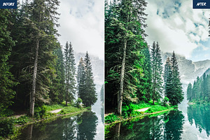 Forest Lightroom Presets