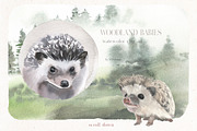 Woodland Babies Wild Animals Clipart, an Animal Illustration by whiteheartdesign (Thumbnail 5 of 28)