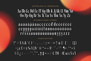 Aligner Tall Modern Serif Display, a Serif Font by timelesstype.co (Thumbnail 18 of 20)