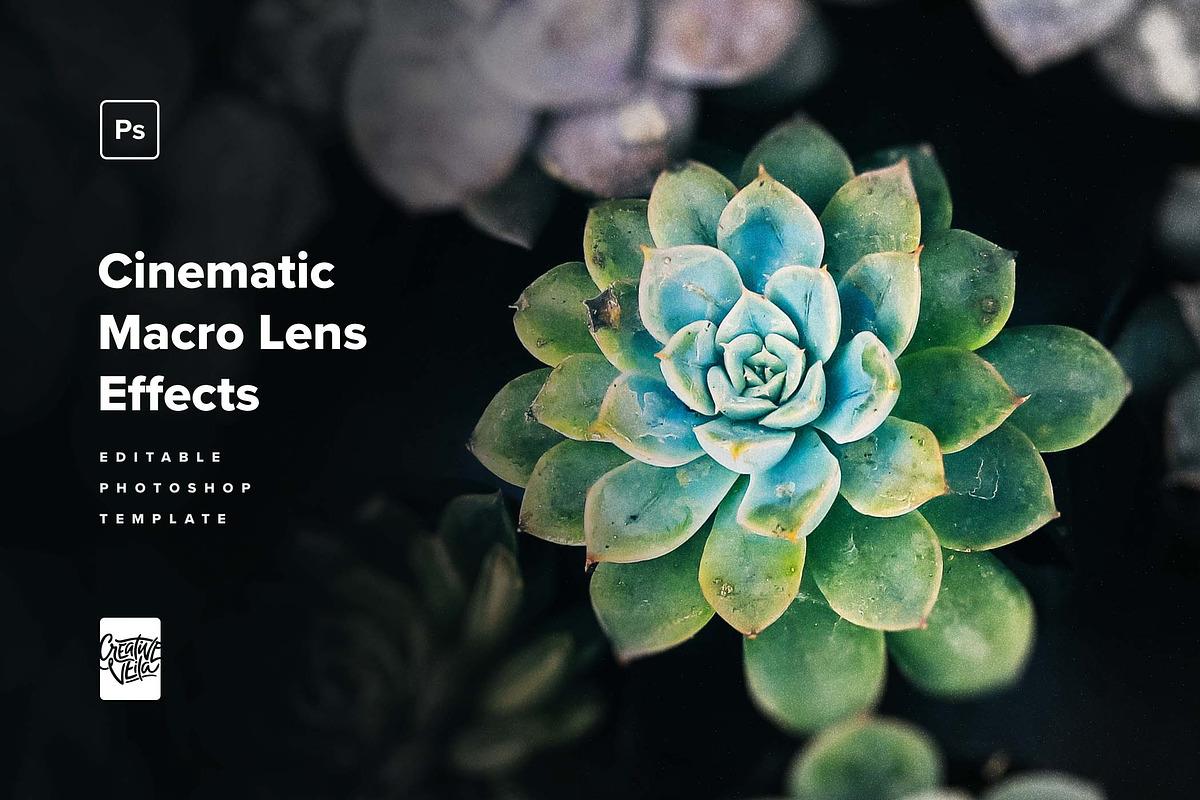 Cinematic Macro Lens Photo Effects, a Layer Style Add-On by veila.me (Photo 1 of 8)