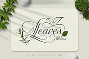 The Virnature Nature Script, a Script Font by alit design (Thumbnail 6 of 18)