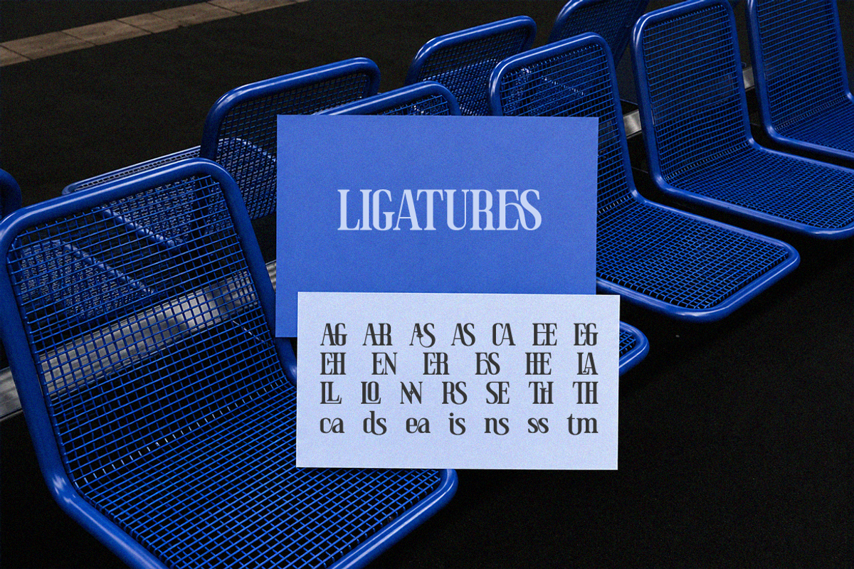 Thalier Estelle Condensed Font, a Serif Font by Rasio Studio (Photo 7 of 10)