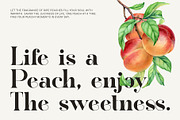 The Fongka Elegant Serif Font, a Serif Font by Perfectype (Thumbnail 5 of 9)