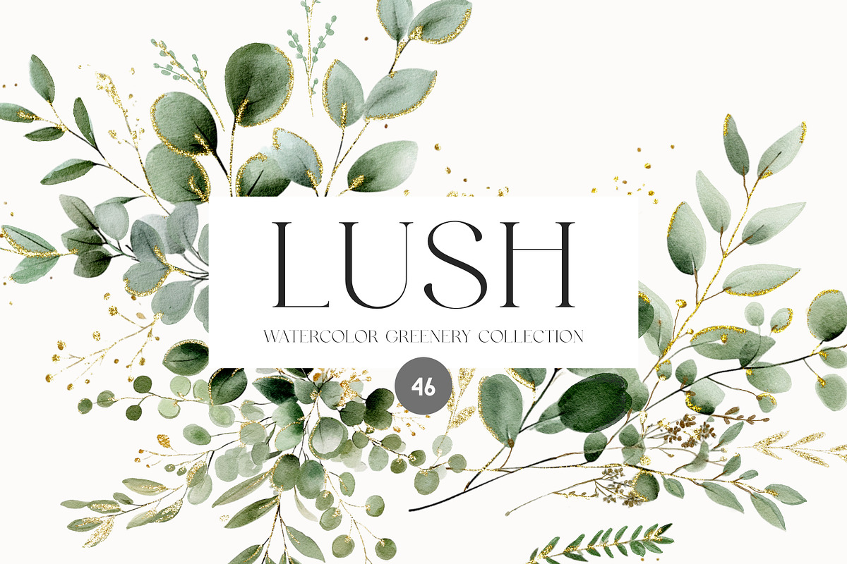 LUSH - Eucalyptus and Gold, a Decorative Illustration by Isabelle Salem (Photo 1 of 7)