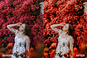 Festival Mobile Lightroom Presets, an Action Add-On by in between details (Thumbnail 6 of 22)
