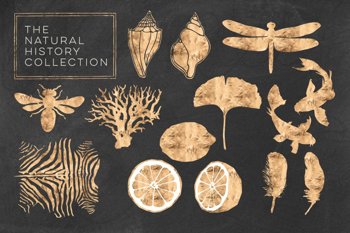 Whole Shop 9000+ Graphics Bundle, a Background Graphic by Blixa 6 Studios (Photo 24 of 26)
