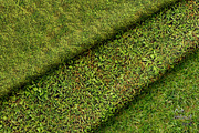 Seamless Ground Textures-Green Grass, a Texture Graphic by Arthitecture Home (Thumbnail 7 of 11)