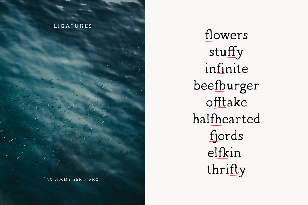 JIMMY Serif Pro - Handwritten Serif, a Serif Font by Tom Chalky (Photo 4 of 6)