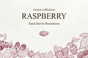 Raspberry Vector Collection, a Food Illustration by Lubov Illustrations Shop (Thumbnail 1 of 5)