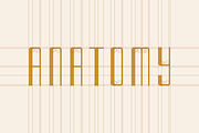 Romanova – A Luxury Font Family, a Sans Serif Font by alpercakici (Thumbnail 3 of 19)
