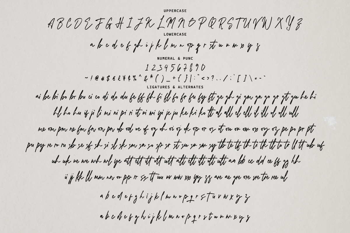 Boxtime - Organic Handwritten, a Handwritten Font by tebaltipislab (Photo 11 of 15)