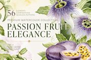 Passion Fruit Watercolor Clip Art, a Food Illustration by Elena Malgina Clipart (Thumbnail 1 of 16)