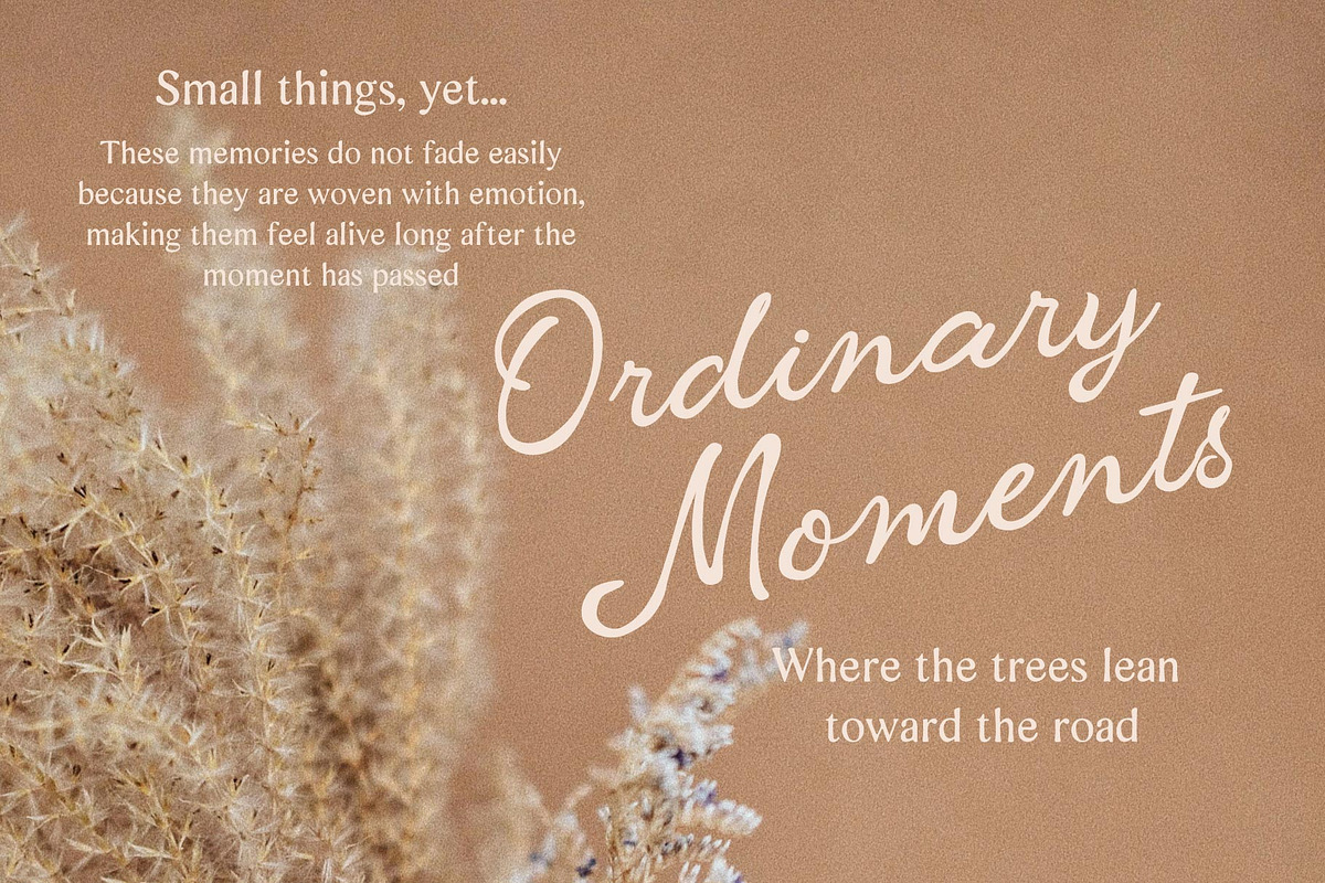 Housemail; Romantic Script and Sans, a Script Font by Eko Bimantara (Photo 3 of 16)