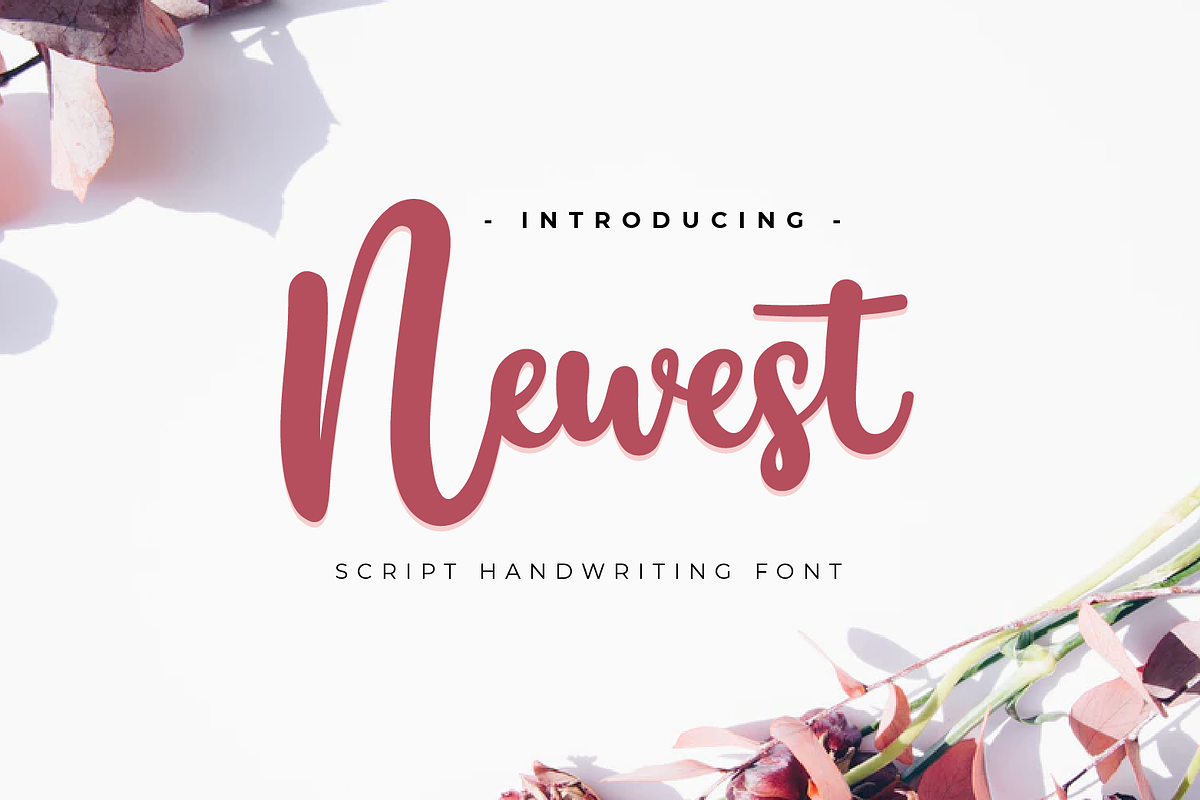 Newest, a Script Font by twinstd (Photo 1 of 10)