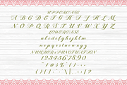 Sheryna Classic Romantic Script Font, a Script Font by PutraCetol Studio (Thumbnail 5 of 5)