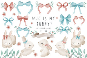 Baby Bunny Gender Reveal Clipart