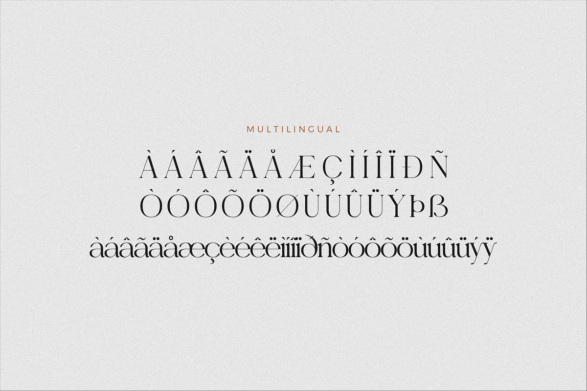Gealova Modern Serif Font, a Serif Font by Storytype Studio (Photo 14 of 15)