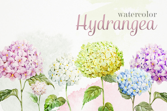 Watercolor Vector Set preview 5