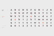 Moranga, a Serif Font by Latinotype (Thumbnail 15 of 15)