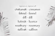 Herb - floral ligature font, a Serif Font by Innire (Thumbnail 4 of 10)