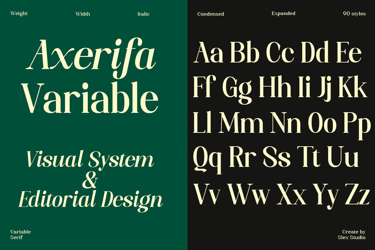 Axerifa Variable, a Serif Font by Slex Studio (Photo 9 of 12)