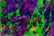 Green abstract,Dazzling green image, an Abstract Photo by Manis recycle abstract (Thumbnail 1 of 3)