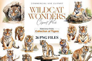 Watercolor Tiger Clipart, Tiger PNG