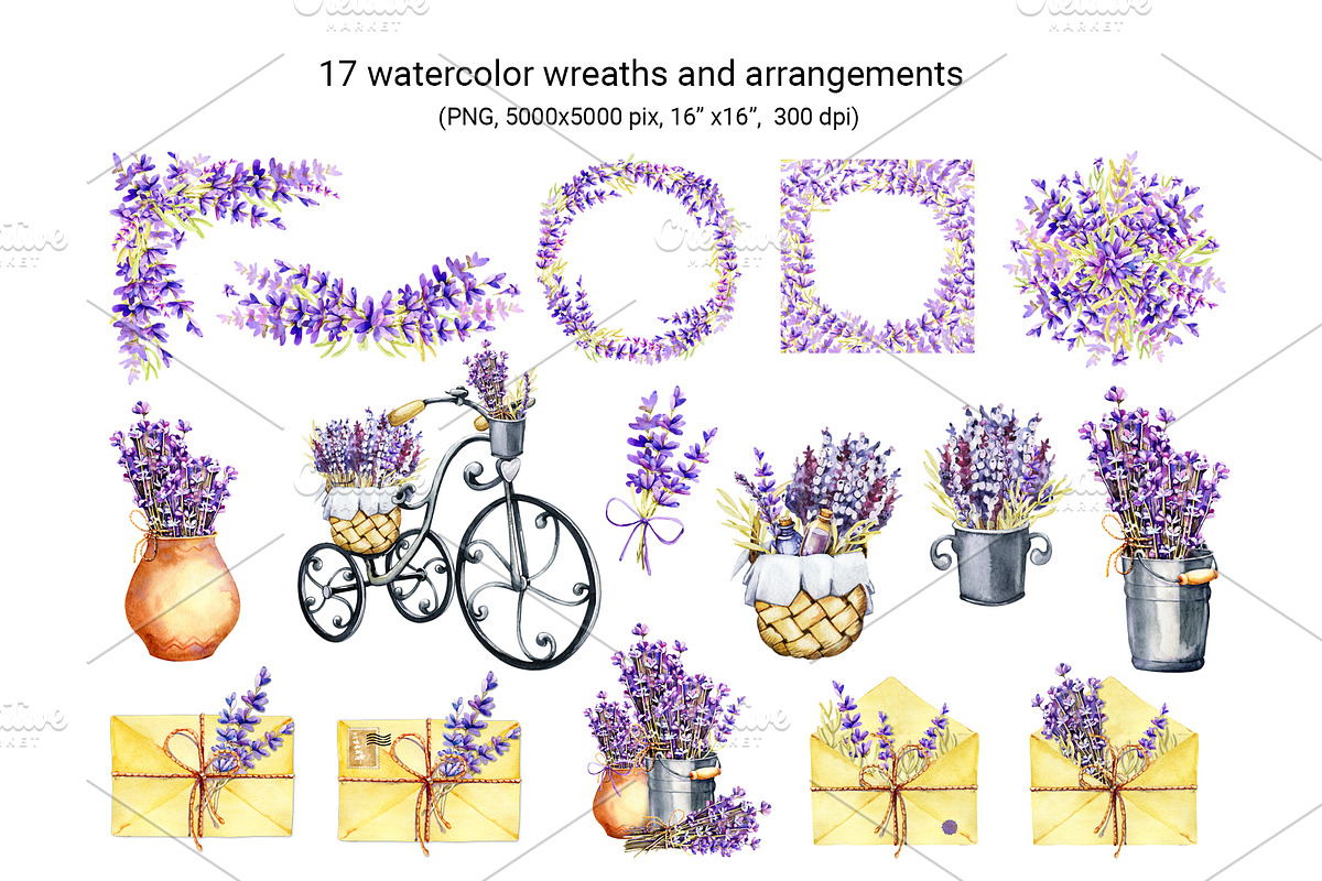 Provence Lavender watercolor clipart, a Decorative Illustration by Artmanata (Photo 3 of 14)