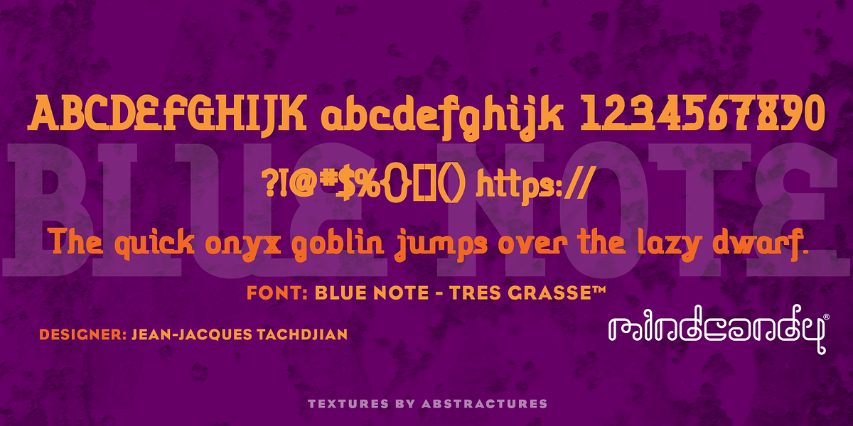 Blue Note™, a Serif Font by MINDCANDY (Photo 7 of 8)