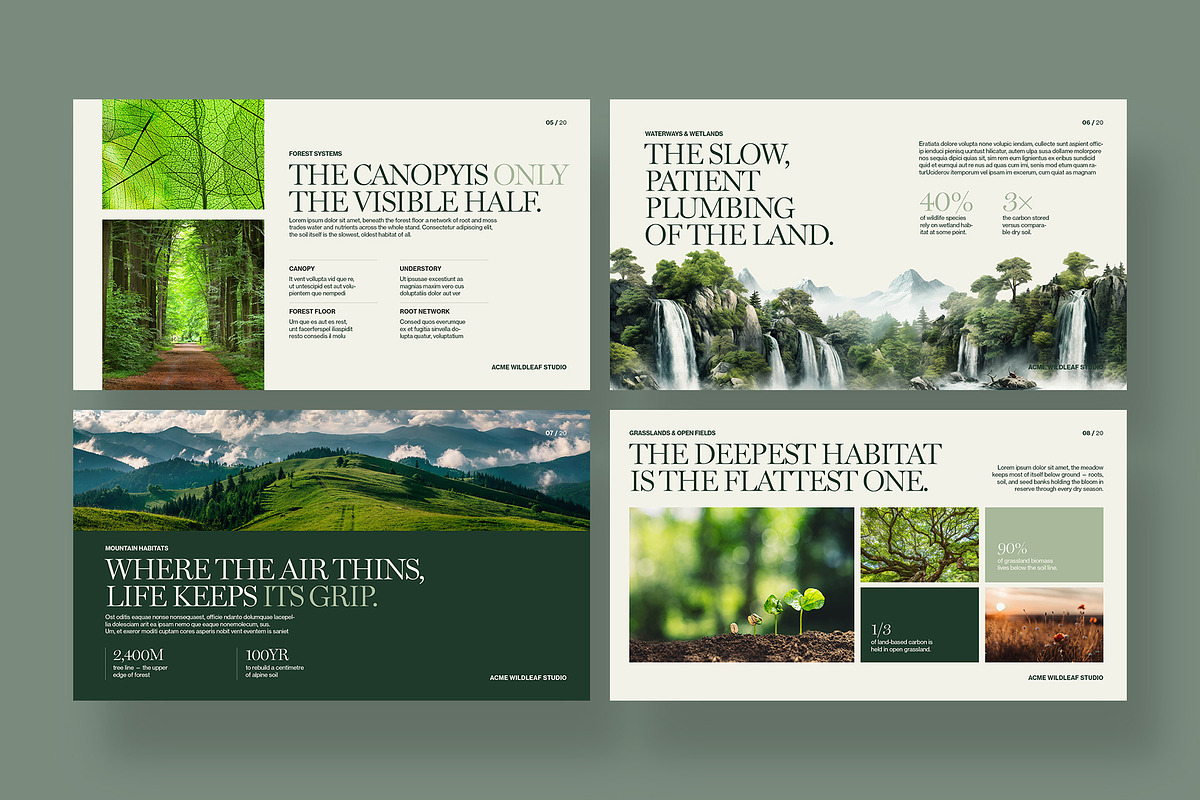 Nature Presentation Template, a Presentation Template by BrandPacks (Photo 3 of 7)