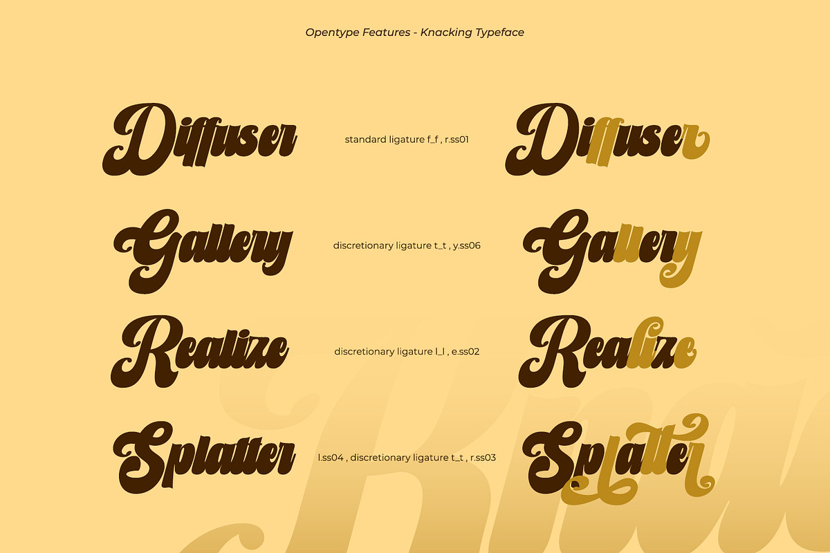 Knacking, a Script Font by Ditatype (Photo 8 of 11)