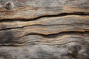 Rustic Wood Textures, a Background Photo by VetalStock (Thumbnail 7 of 10)
