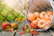 Autumn Photoshop Actions 110 Bundle, an Action Add-On by ARTNEST (Thumbnail 7 of 11)