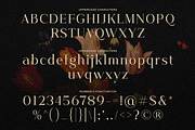 Kofdoh Elegant Serif Font Family, a Serif Font by kangfont Studio (Thumbnail 7 of 10)