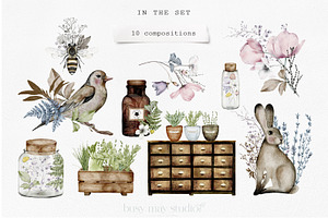 Apothecary Herb Illustrations