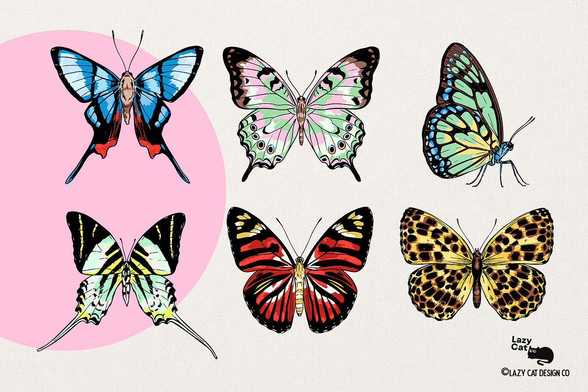 HAND-DRAWN BUTTERFLY COLLECTION, an Object Graphic by Lazy Cat (Photo 5 of 5)