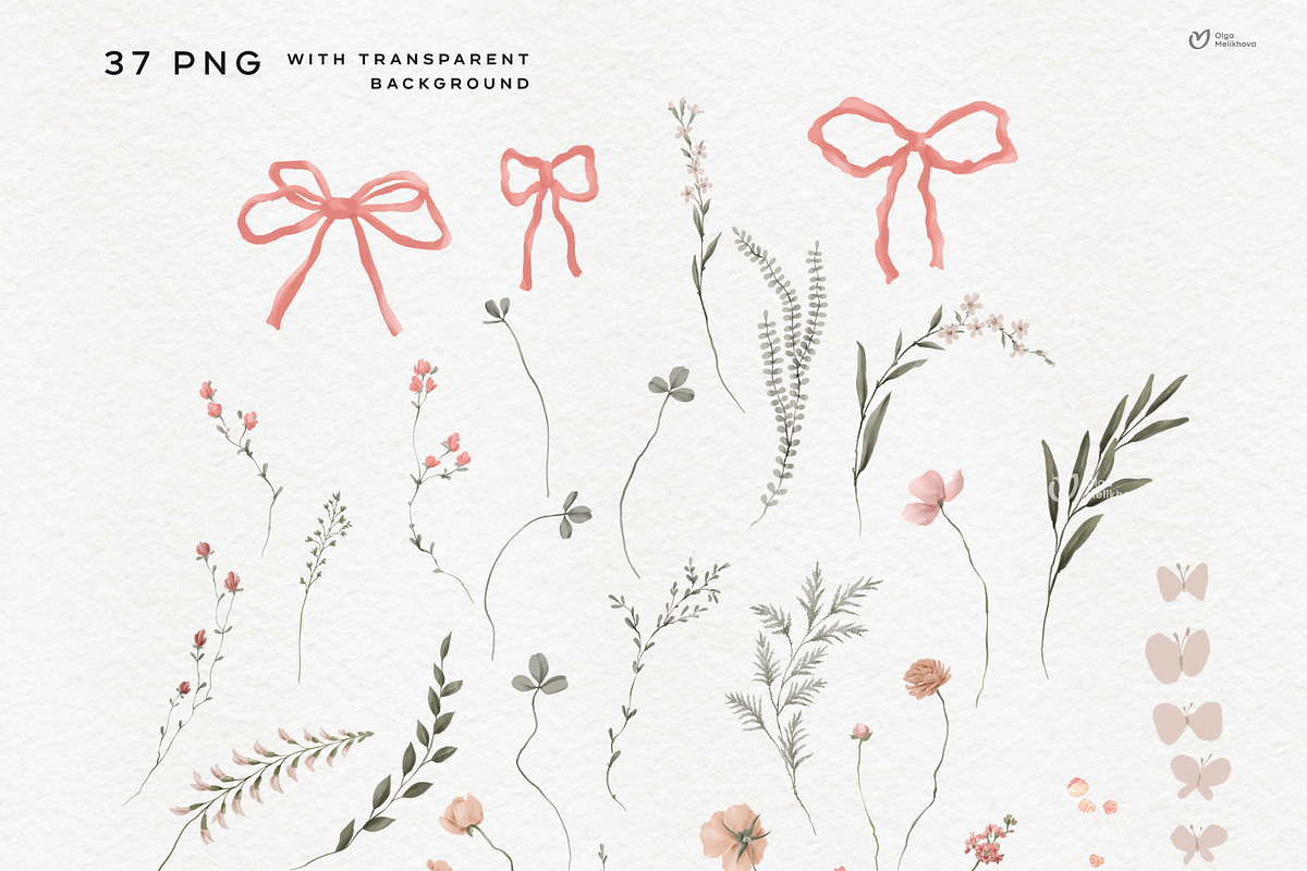 Spring Wildflowers, hand drawn, an Object Illustration by ollalya (Photo 6 of 9)