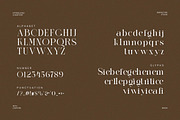 Anxler - Classy Serif Font, a Serif Font by Luna Shop (Thumbnail 3 of 6)