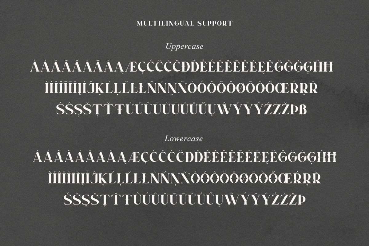 Norden Modern All Caps Serif Font, a Serif Font by Heinzel Std (Photo 13 of 13)